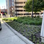 BrightView Landscape