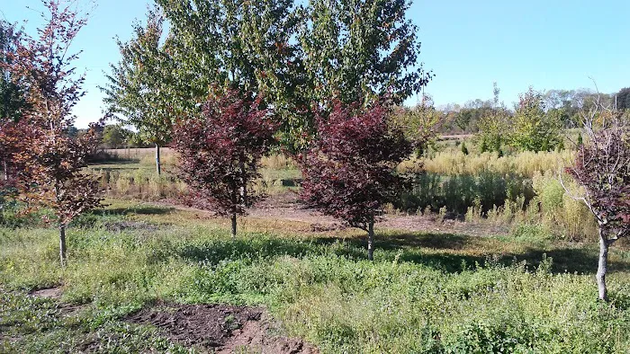 Murray Landscaping Picture 3