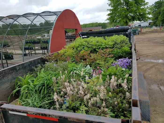 Murray Landscaping Picture 8