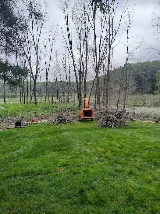 Fox Lawn and garden LLC Picture 7