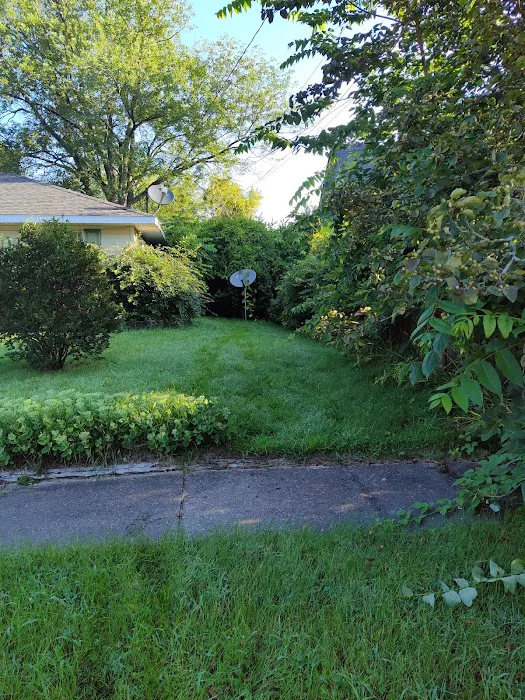 Fox Lawn and garden LLC Picture 3