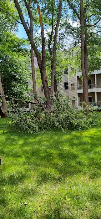 Fox Lawn and garden LLC Picture 2