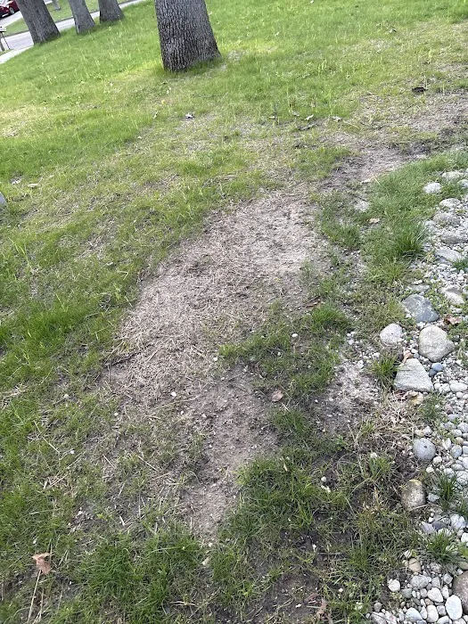 K & K Landscaping Picture 5