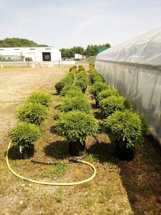 C D Lawn Maintenance & Supply Picture 7