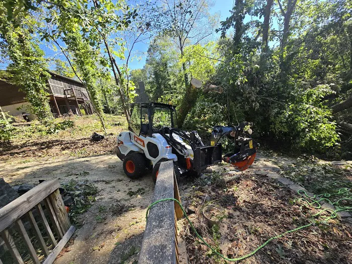 Juan's Tree Removal LLC Picture 10