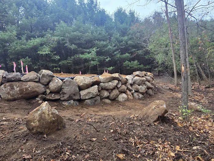Juan's Tree Removal LLC Picture 3