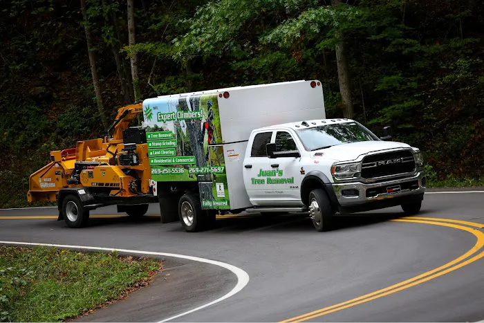 Juan's Tree Removal LLC Picture 1