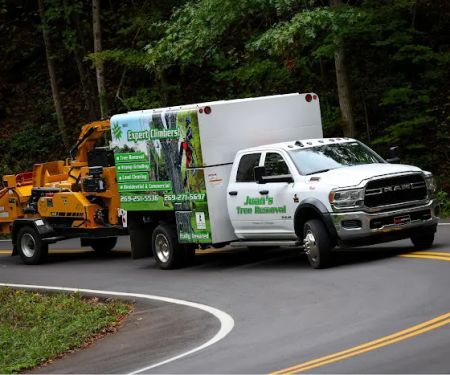 Juan's Tree Removal LLC