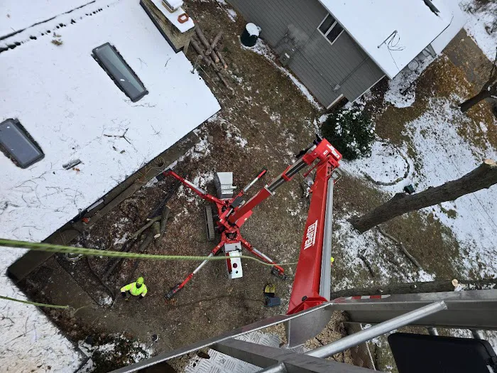 Juan's Tree Removal LLC Picture 8