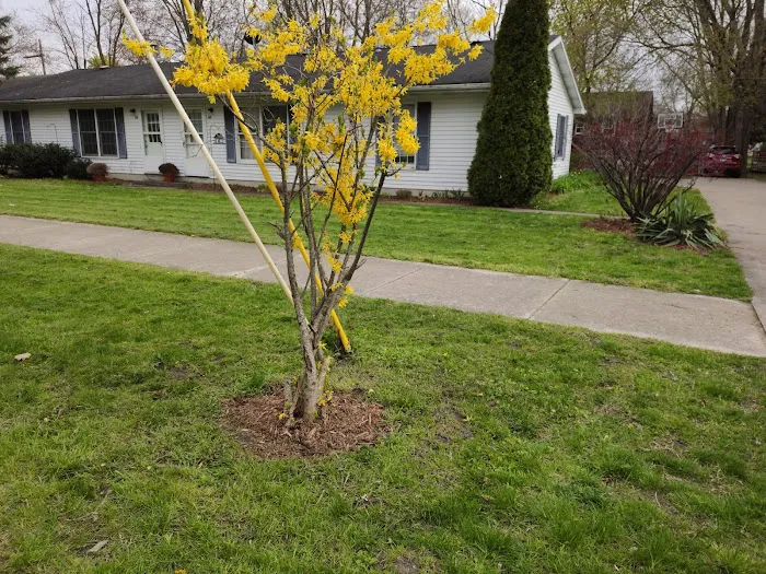 Fran's Lawn Care LLC Holland Picture 7