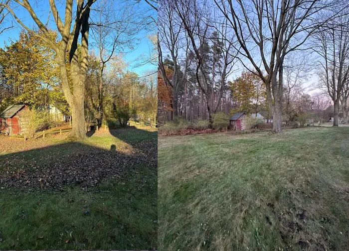Fran's Lawn Care LLC Holland Picture 8
