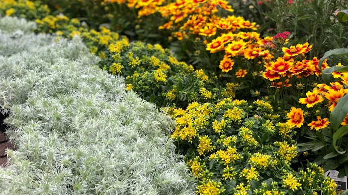 Windridge Perennials & Landscaping Picture 4