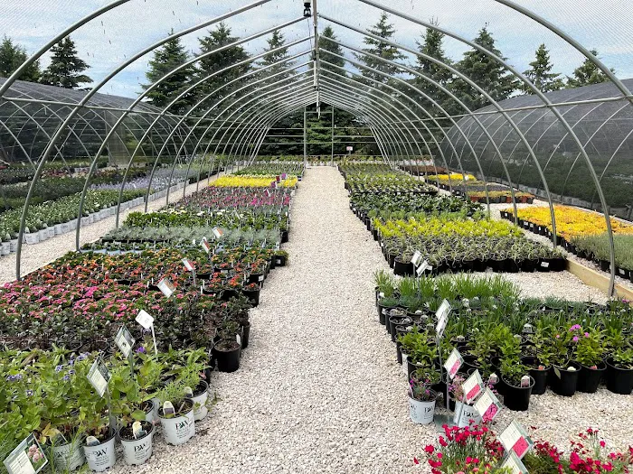 Windridge Perennials & Landscaping Picture 3