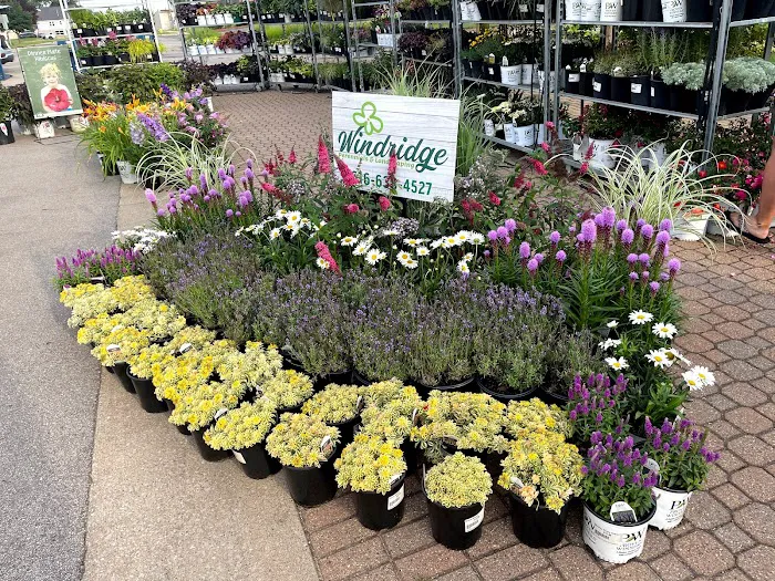 Windridge Perennials & Landscaping Picture 8