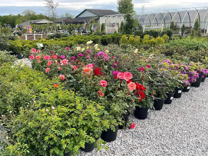 Windridge Perennials & Landscaping Picture 7
