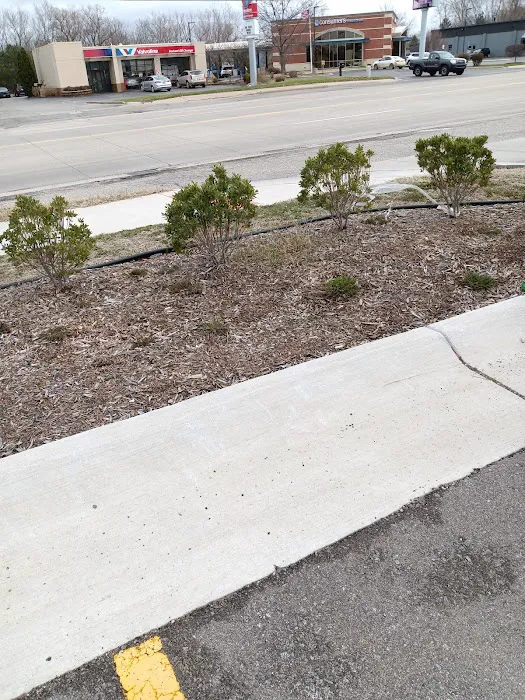 Ab3'slandscaping Picture 2
