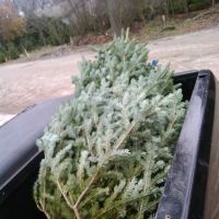 Ellerbroek Landscape Services ico