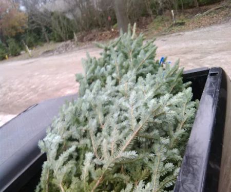 Ellerbroek Landscape Services