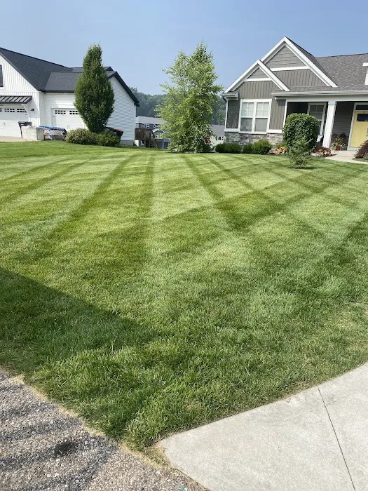 AGS Landscaping Services Picture 1
