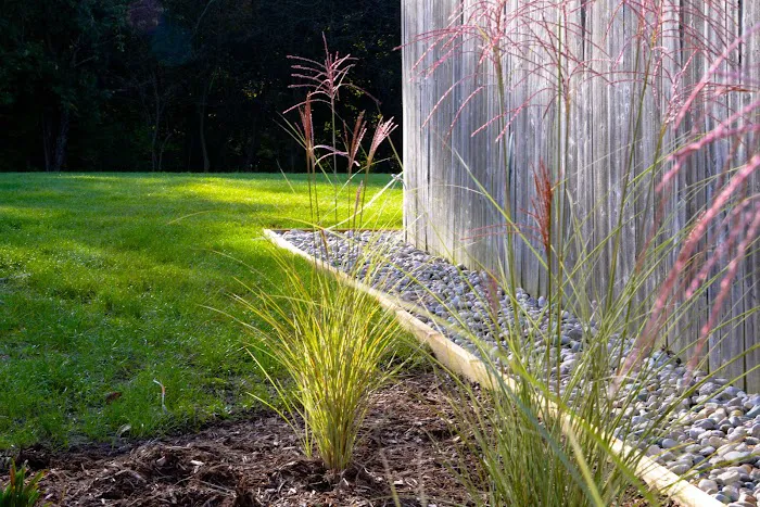 Bosch's Landscaping Specialists Picture 10