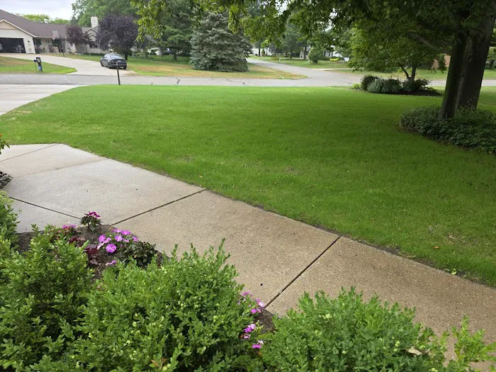 Bosch's Landscaping Specialists Picture 1
