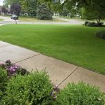 Bosch's Landscaping Specialists