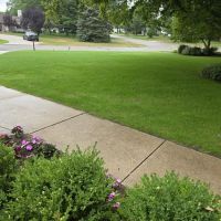 Bosch's Landscaping Specialists ico