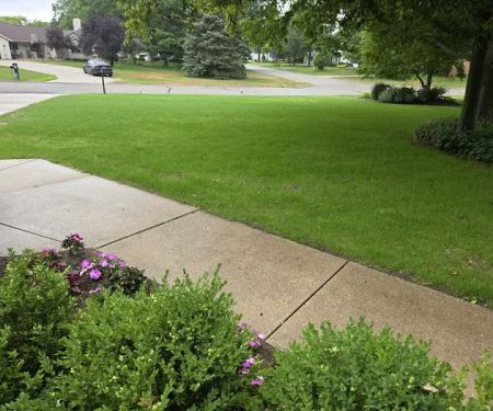 Bosch's Landscaping Specialists