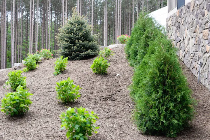 Bosch's Landscaping Specialists Picture 3