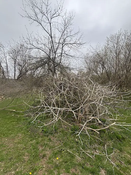 That’s Wild Landscaping LLC Picture 5