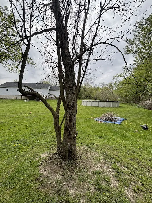 That’s Wild Landscaping LLC Picture 9