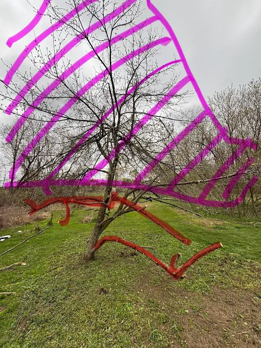 That’s Wild Landscaping LLC Picture 3