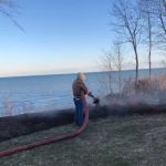 Three Oaks Ground Cover