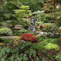 Windscapes Landscaping Inc ico