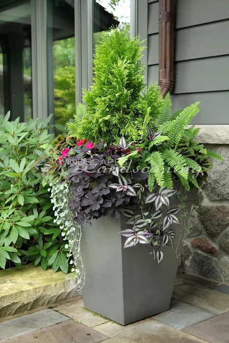 Windscapes Landscaping Inc Picture 6