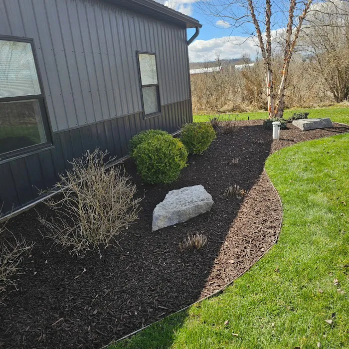 Vivid Lawn Services Picture 5