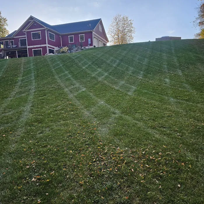 Vivid Lawn Services Picture 4