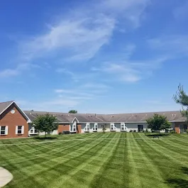 Vivid Lawn Services Picture 1