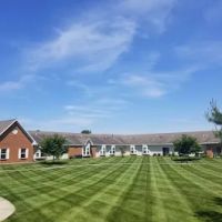 Vivid Lawn Services ico
