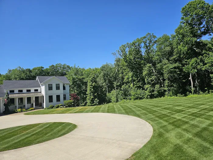 Vivid Lawn Services Picture 7