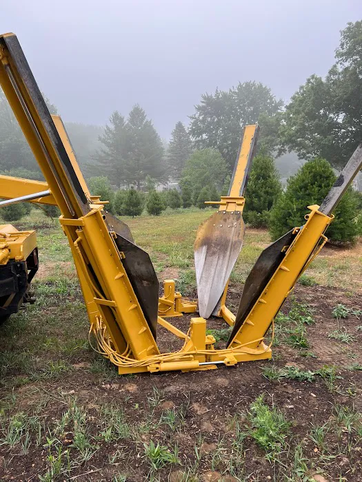 The Tree Mover Picture 4