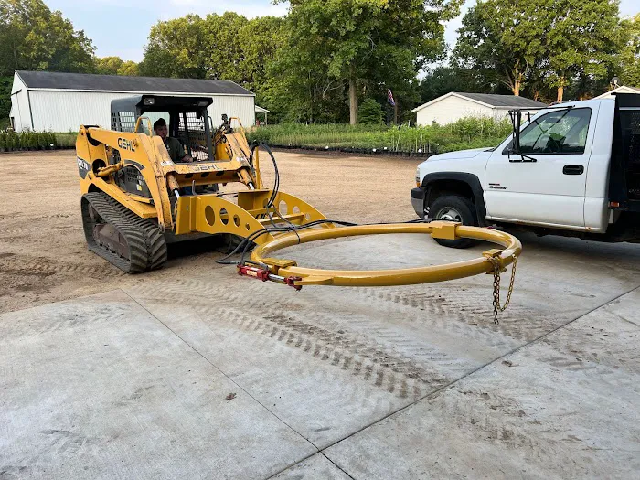 The Tree Mover Picture 3