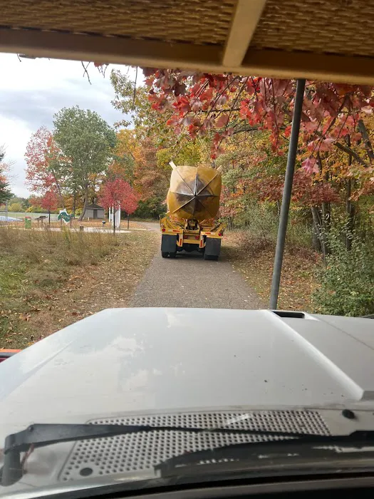 The Tree Mover Picture 9