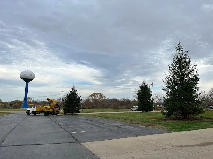 The Tree Mover Picture 2