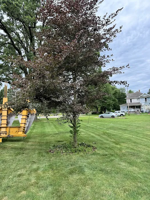The Tree Mover Picture 8