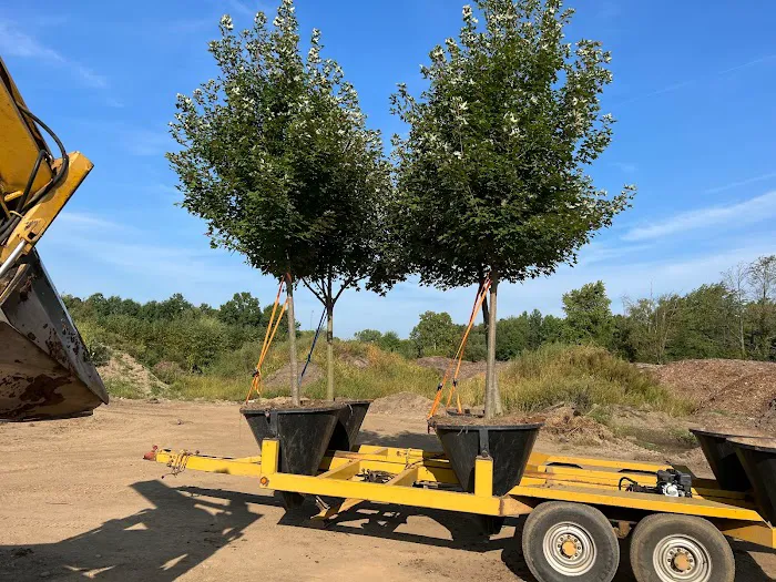 The Tree Mover Picture 6
