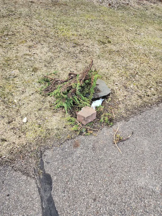 Mc Bain Lawn Services Picture 4