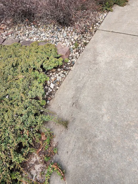 Mc Bain Lawn Services Picture 6