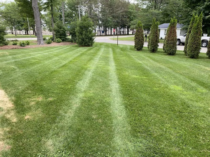 Green Turf Lawn & Landscaping Services Picture 5