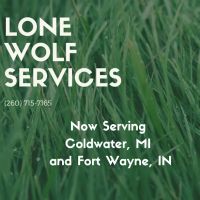 LoneWolf Services ico